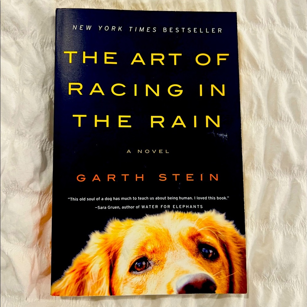 Book: the art of racing in the Rain